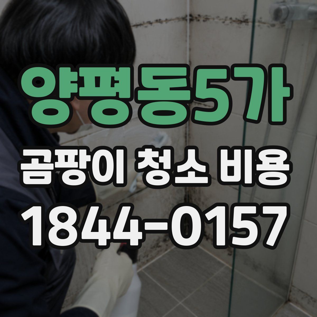 양평동5가 곰팡이 청소 비용