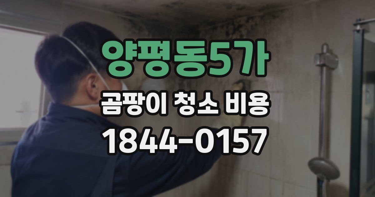 양평동5가 곰팡이 청소 비용