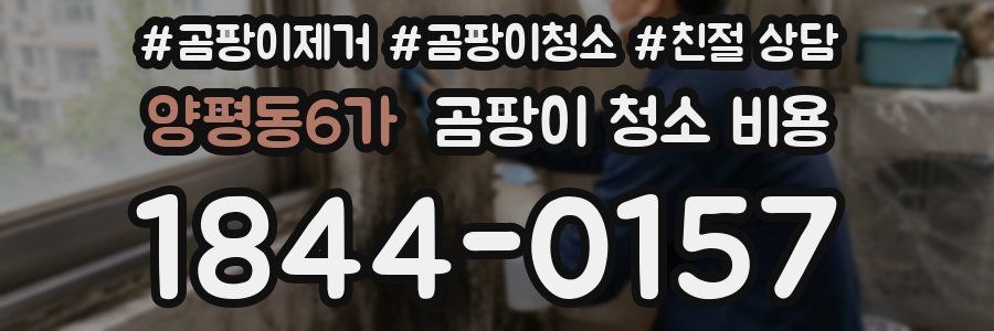 양평동6가 곰팡이 청소 비용