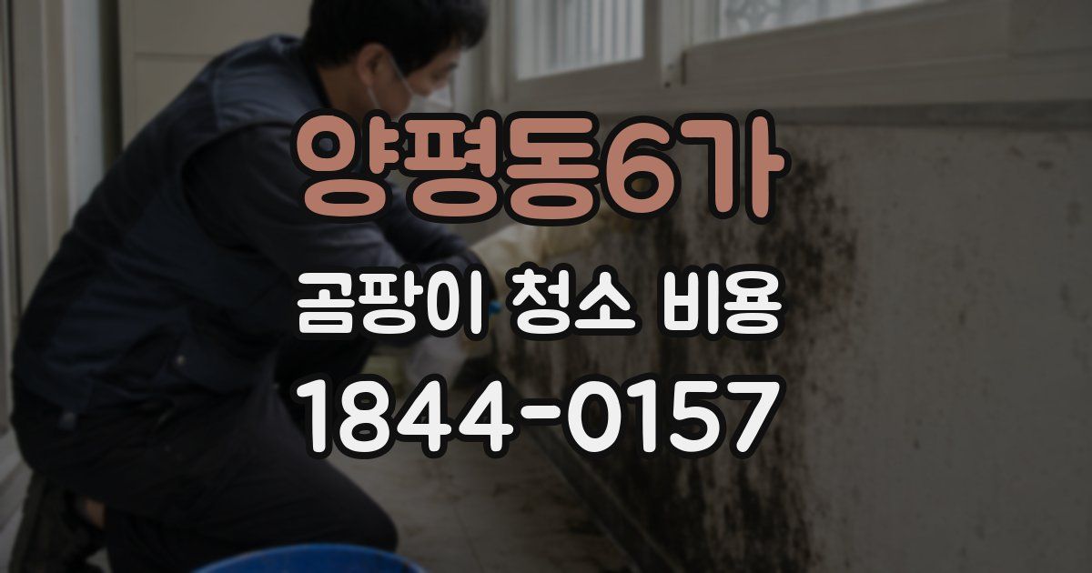 양평동6가 곰팡이 청소 비용