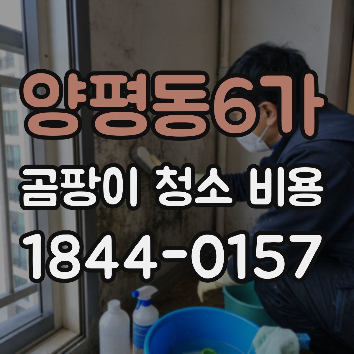 양평동6가 곰팡이 청소 비용
