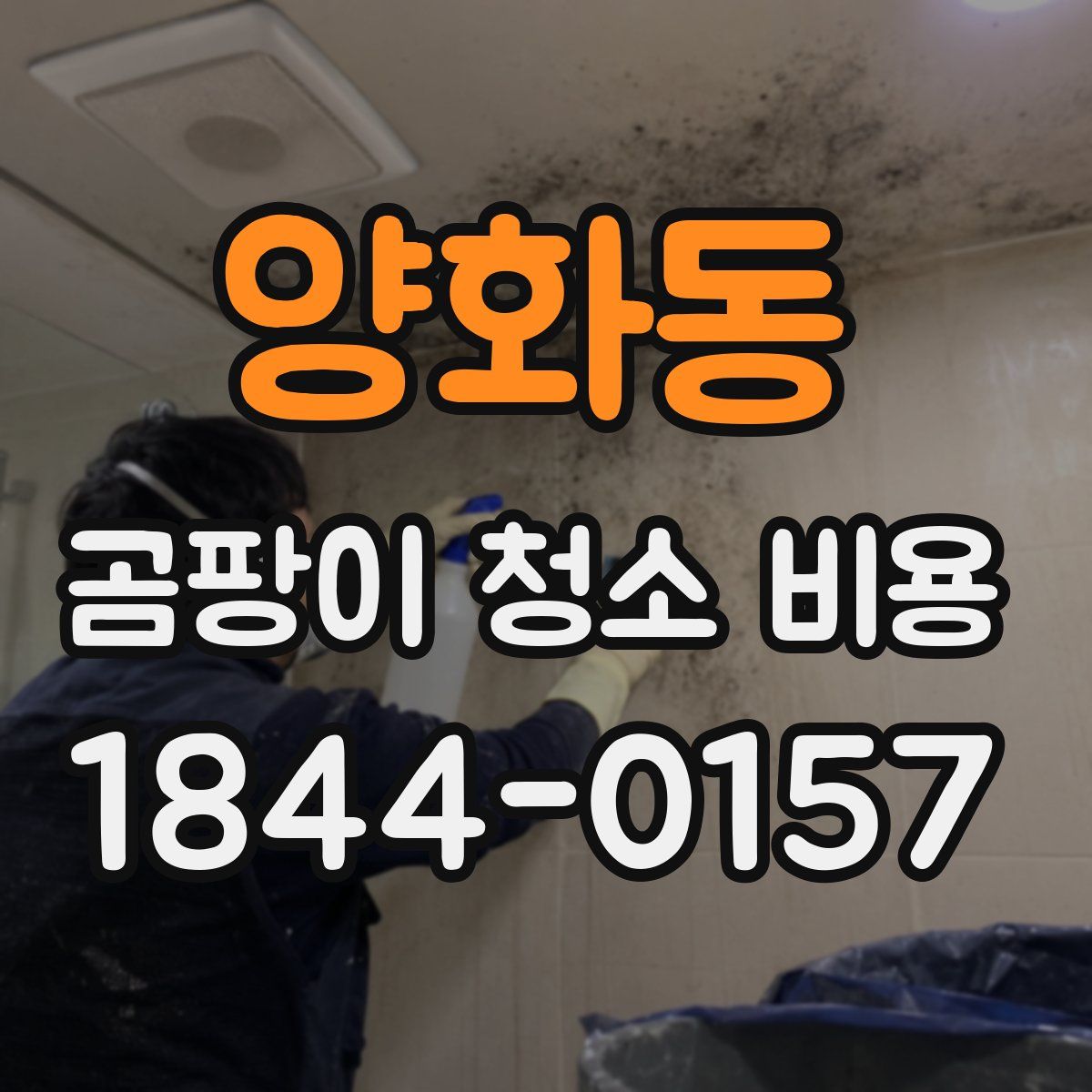 양화동 곰팡이 청소 비용