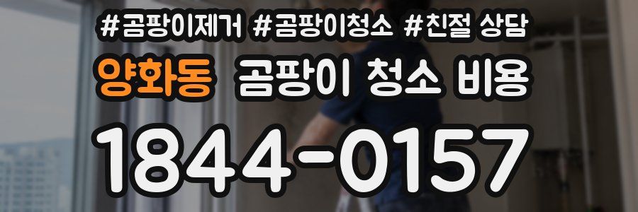 양화동 곰팡이 청소 비용