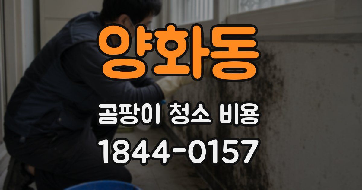 양화동 곰팡이 청소 비용