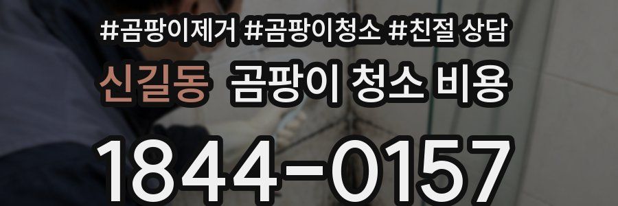 신길동 곰팡이 청소 비용