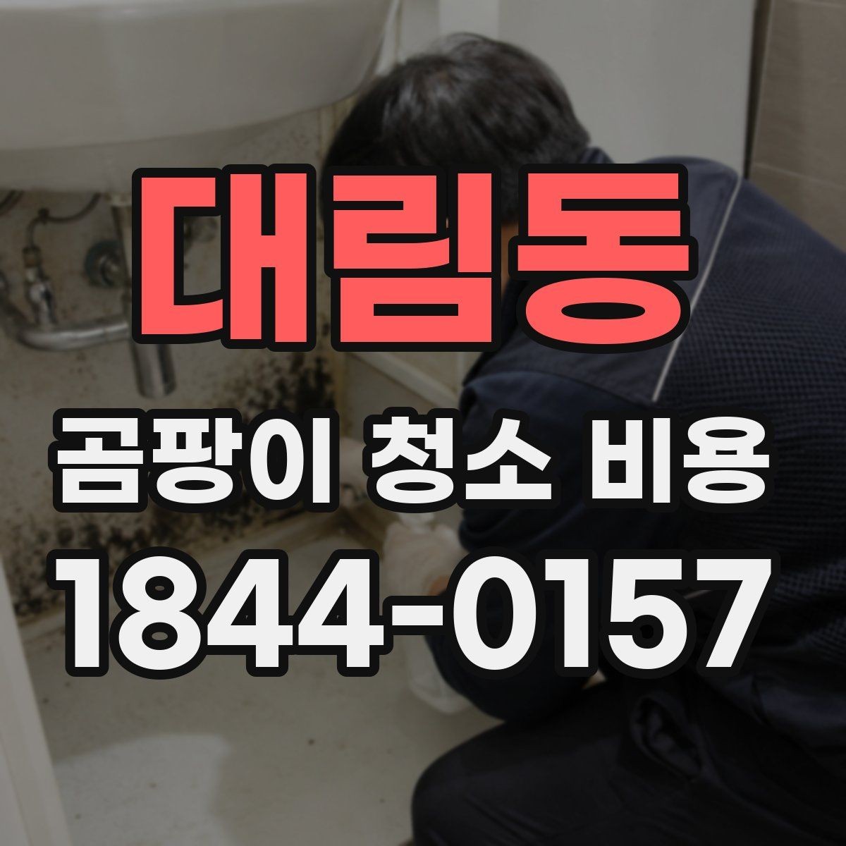 대림동 곰팡이 청소 비용 산출에 영향을 주는 조건들