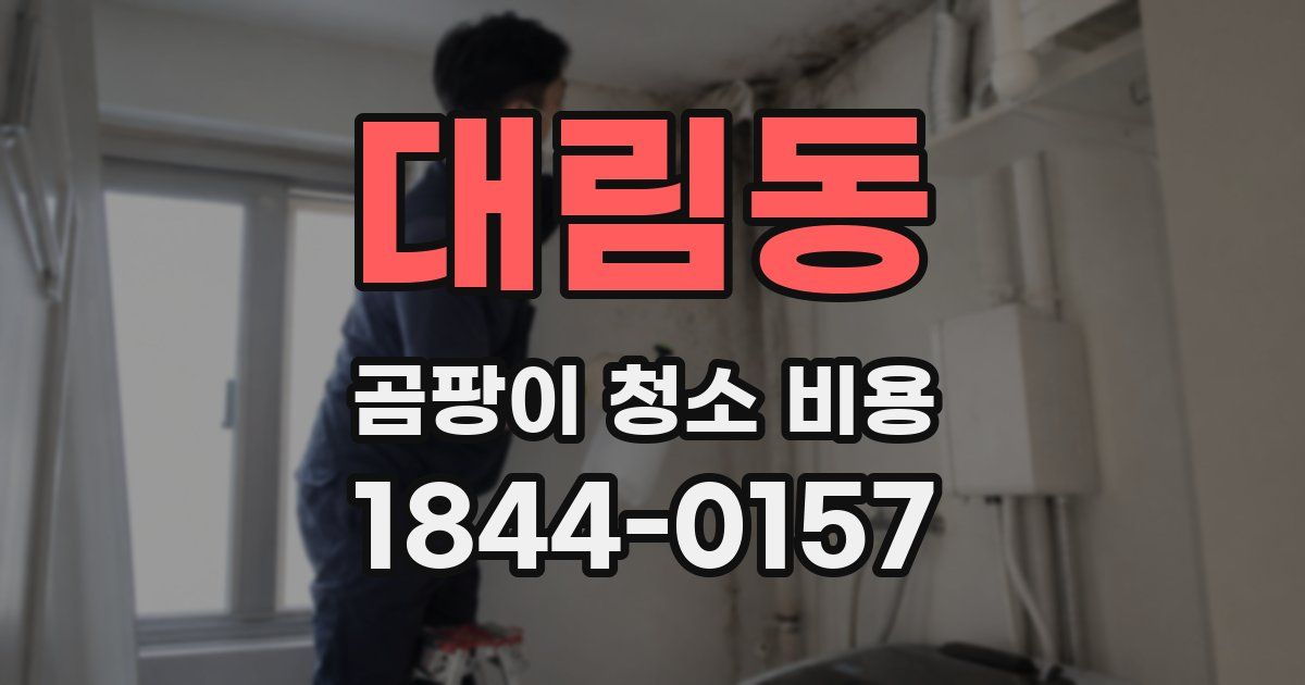 대림동 곰팡이 청소 비용