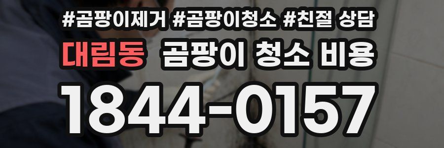대림동 곰팡이 청소 비용