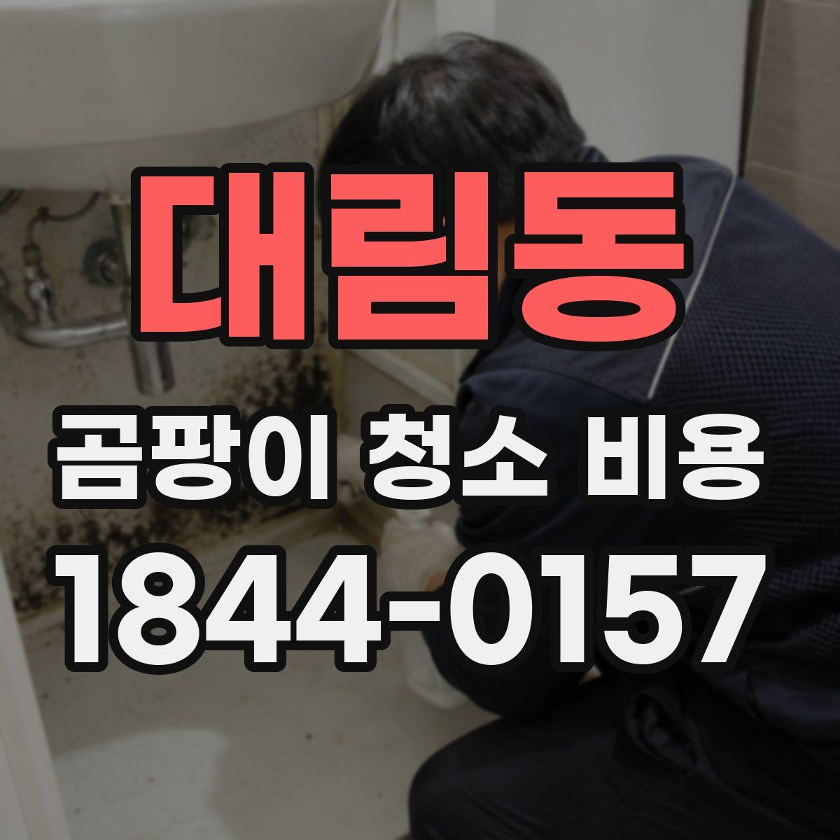 대림동 곰팡이 청소 비용