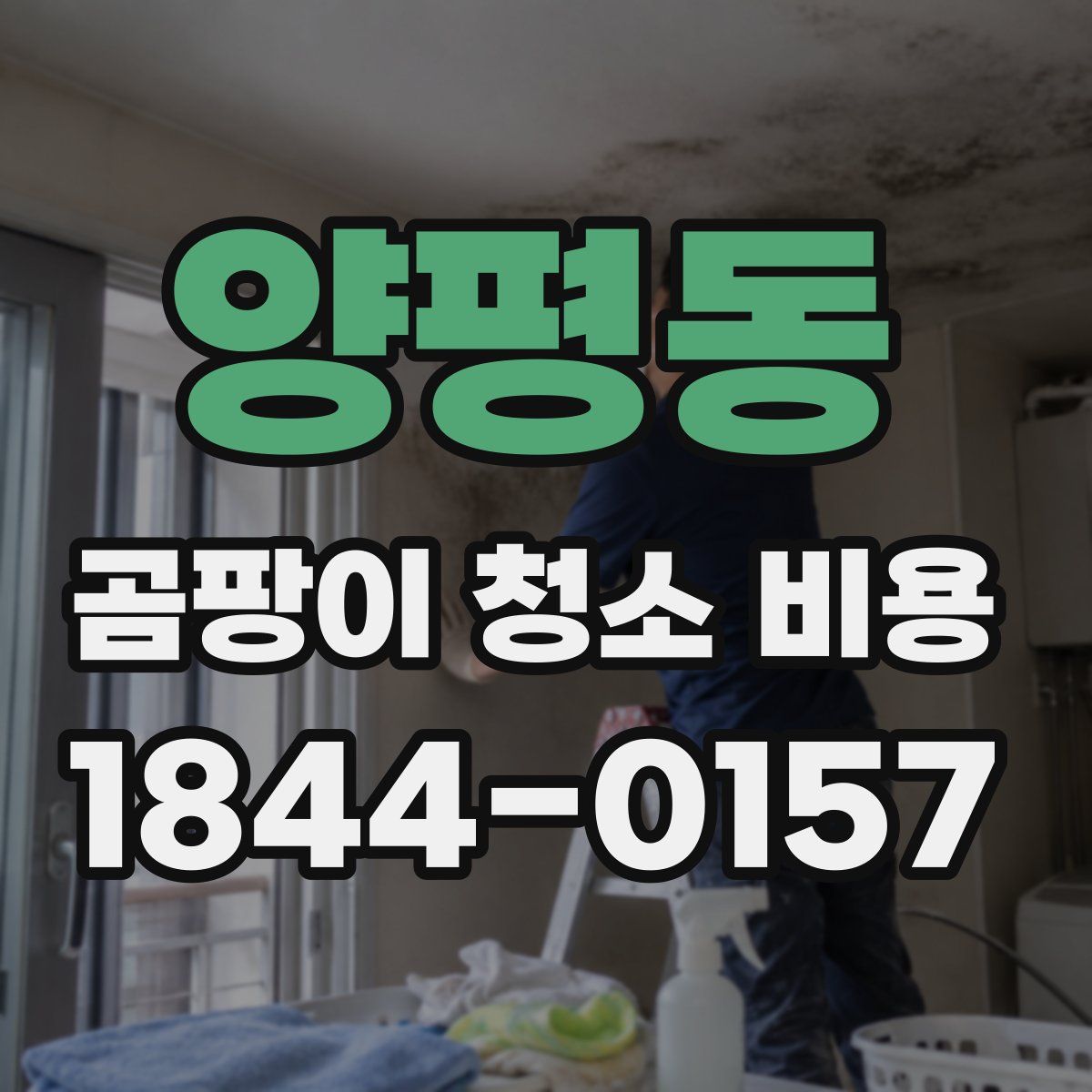 양평동 곰팡이 청소 비용