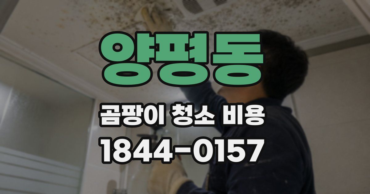 양평동 곰팡이 청소 비용