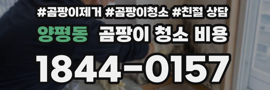 양평동 곰팡이 청소 비용