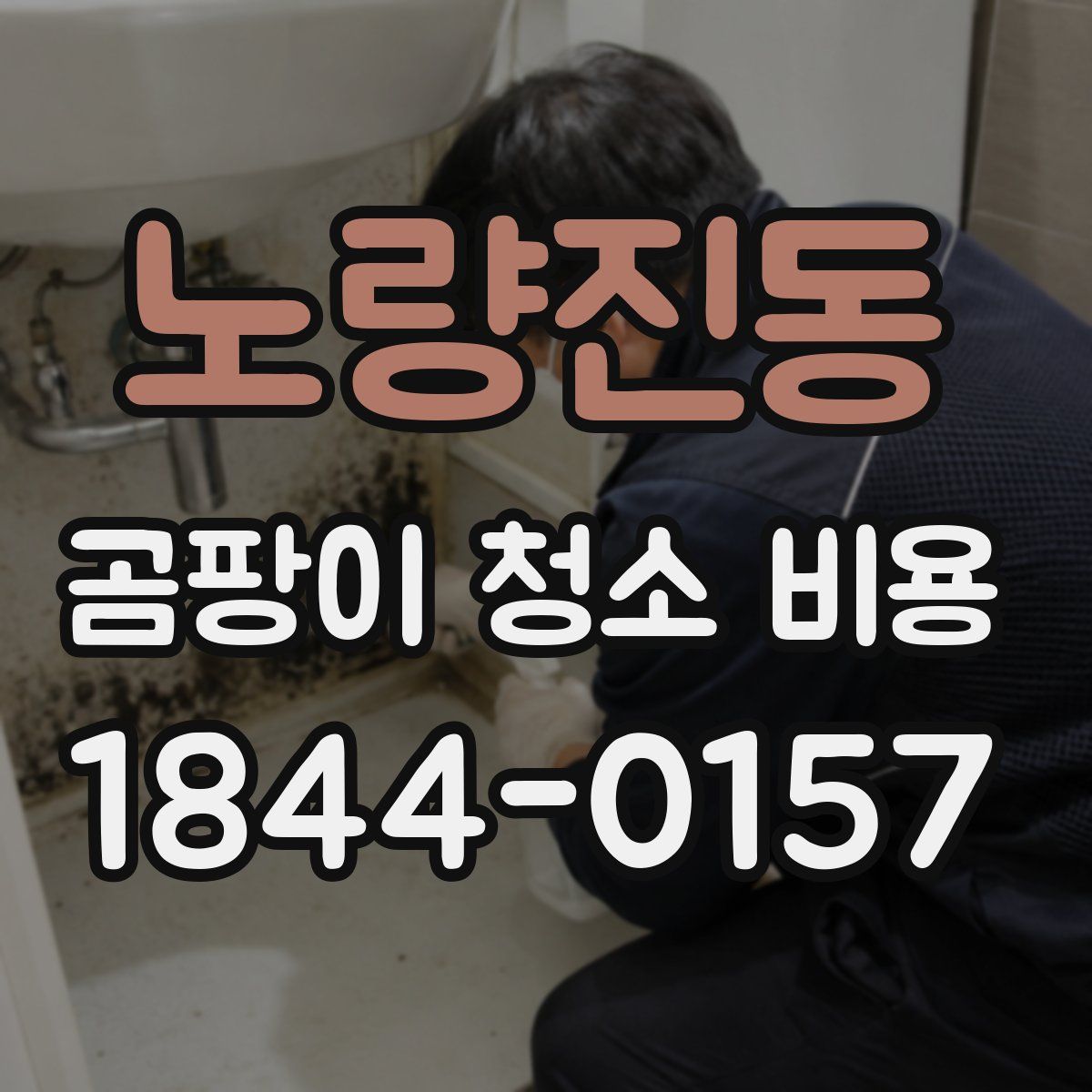 노량진동 곰팡이 청소 비용