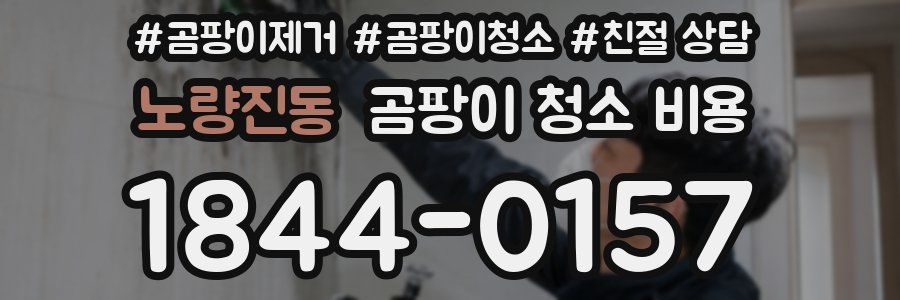 노량진동 곰팡이 청소 비용