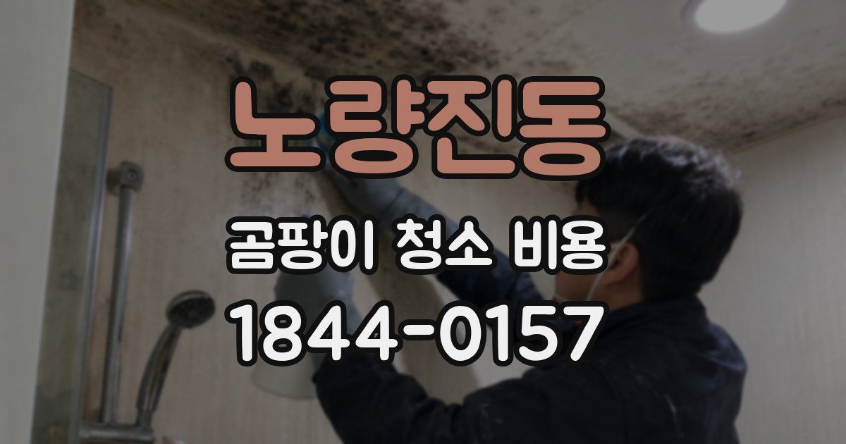 노량진동 곰팡이 청소 비용