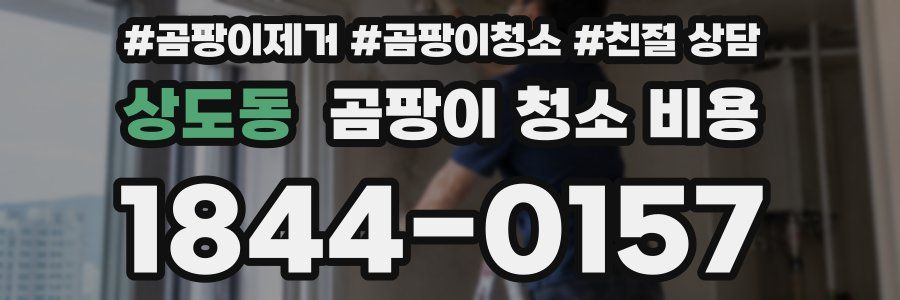 상도동 곰팡이 청소 비용