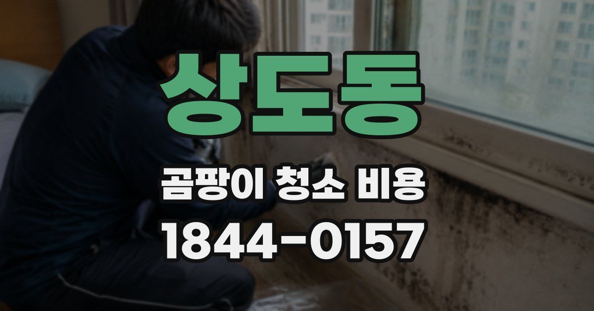 상도동 곰팡이 청소 비용