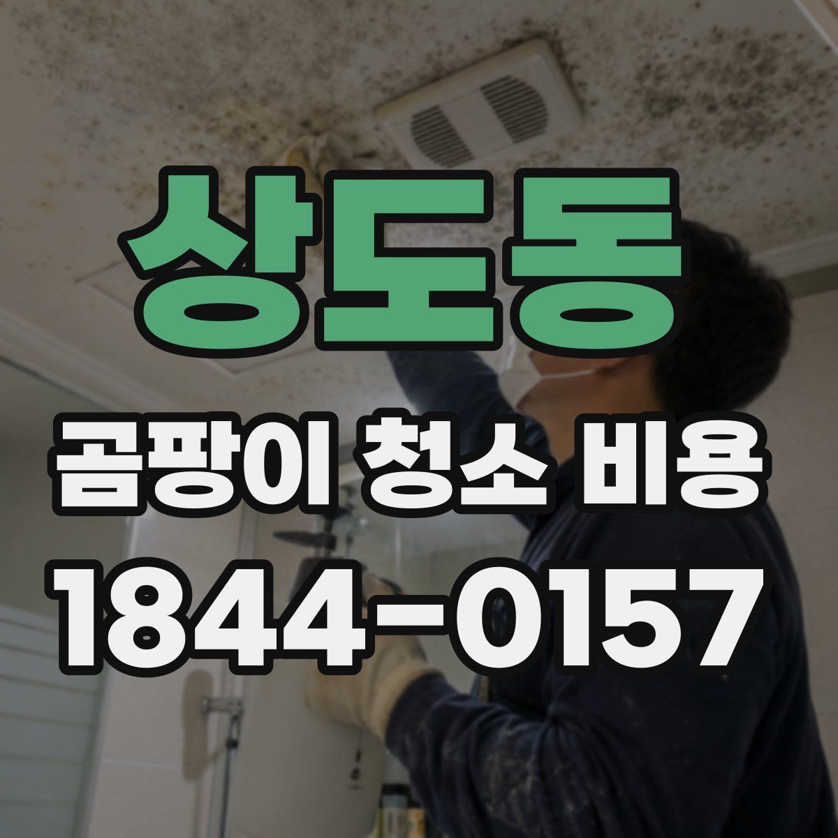 상도동 곰팡이 청소 비용