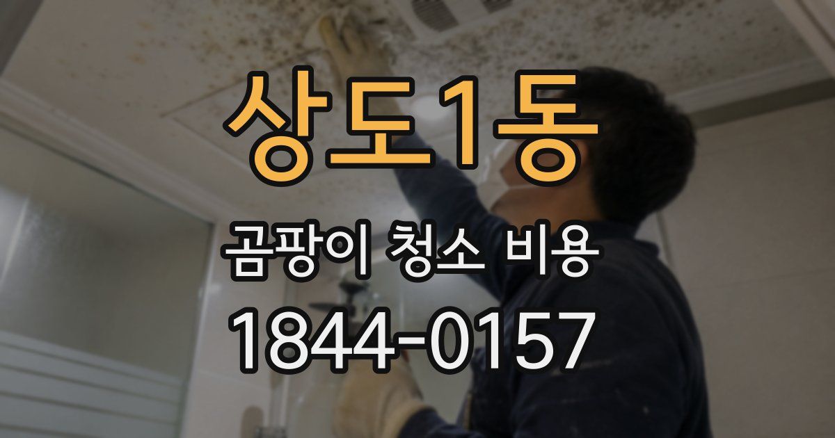 상도1동 곰팡이 청소 비용