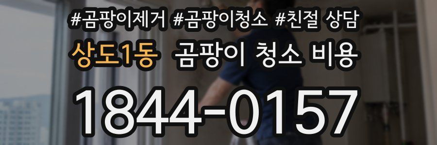 상도1동 곰팡이 청소 비용
