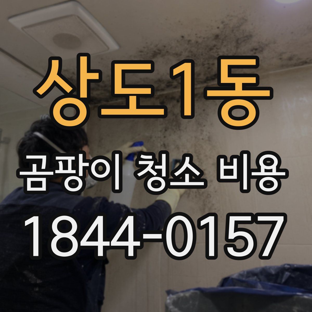 상도1동 곰팡이 청소 비용