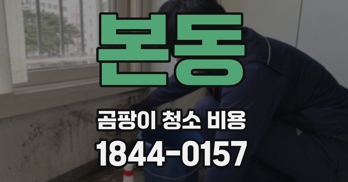 본동 곰팡이 청소 비용