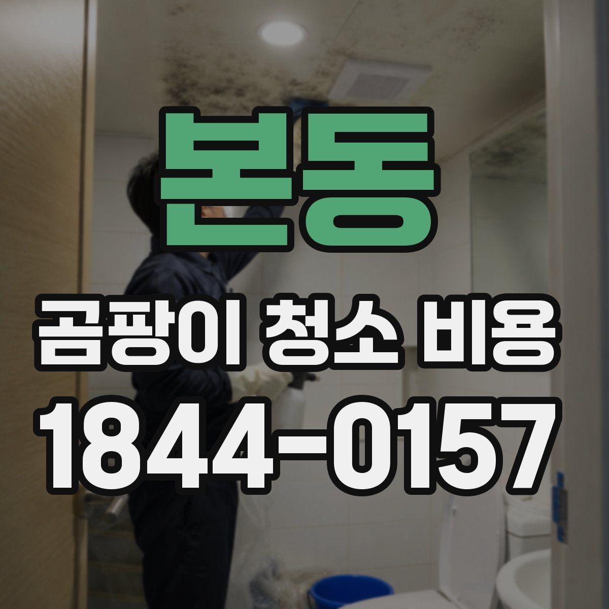 본동 곰팡이 청소 비용