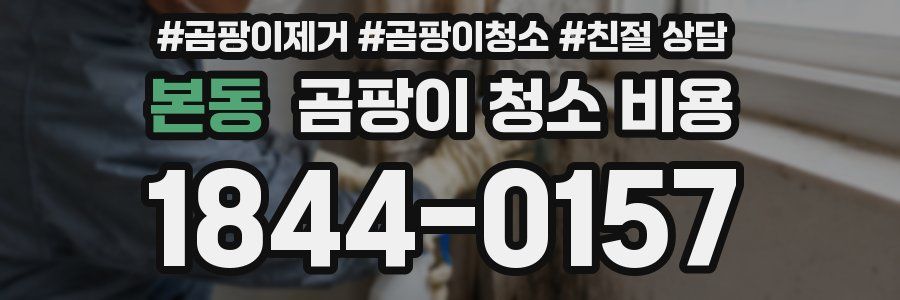 본동 곰팡이 청소 비용