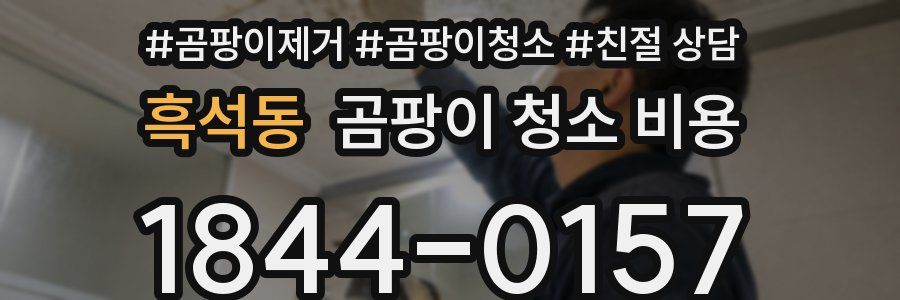 흑석동 곰팡이 청소 비용