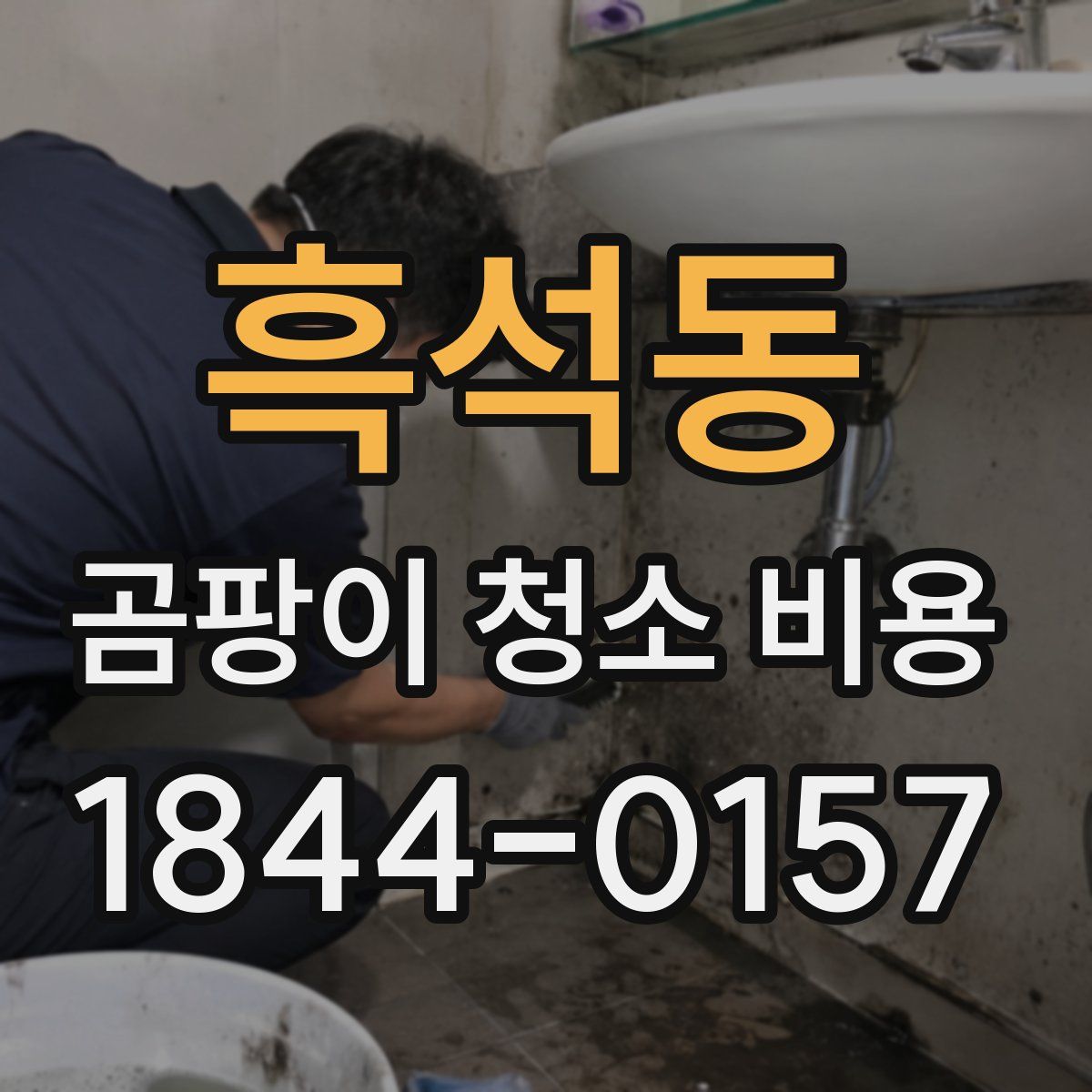흑석동 곰팡이 청소 비용