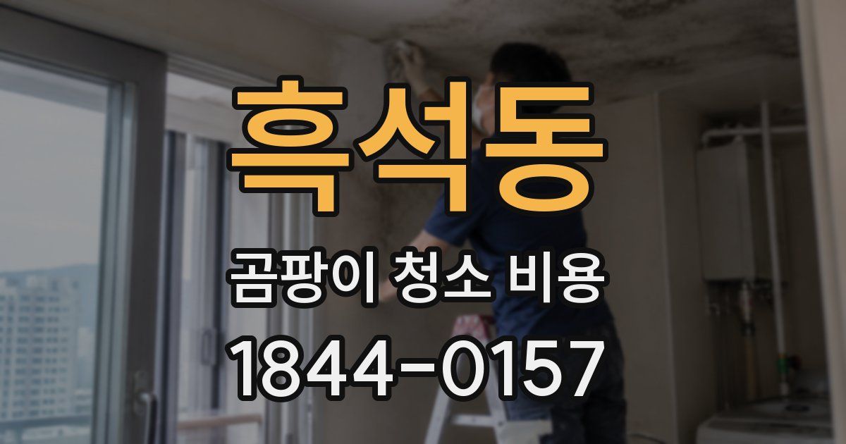흑석동 곰팡이 청소 비용