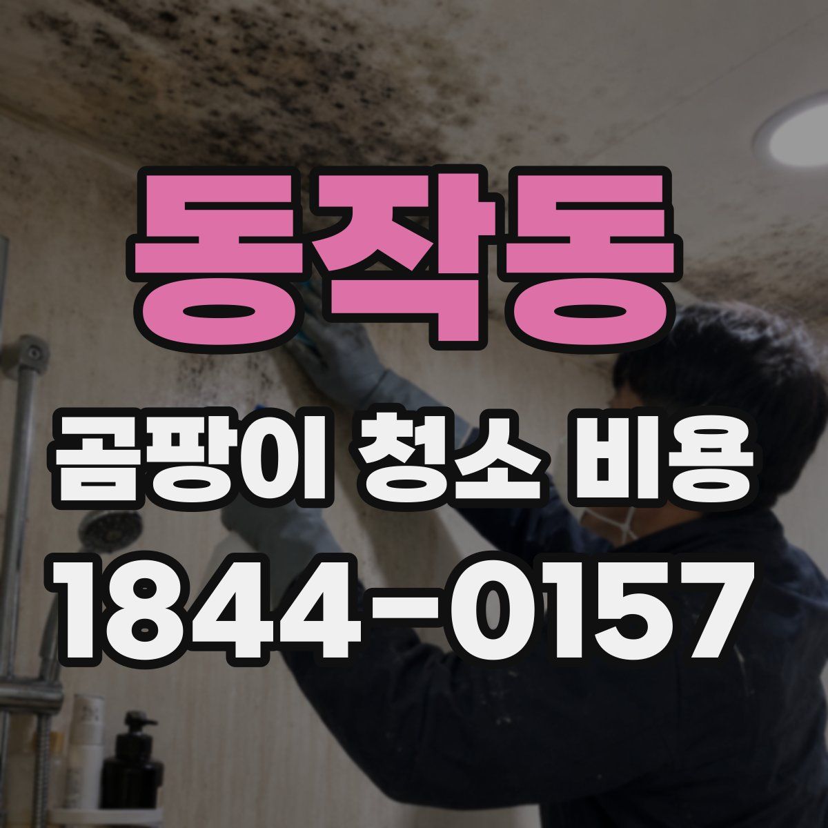 동작동 곰팡이 청소 비용