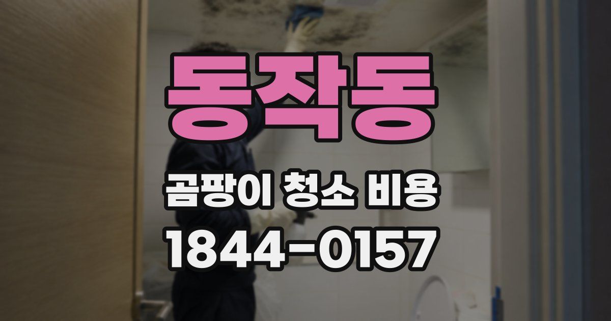 동작동 곰팡이 청소 비용