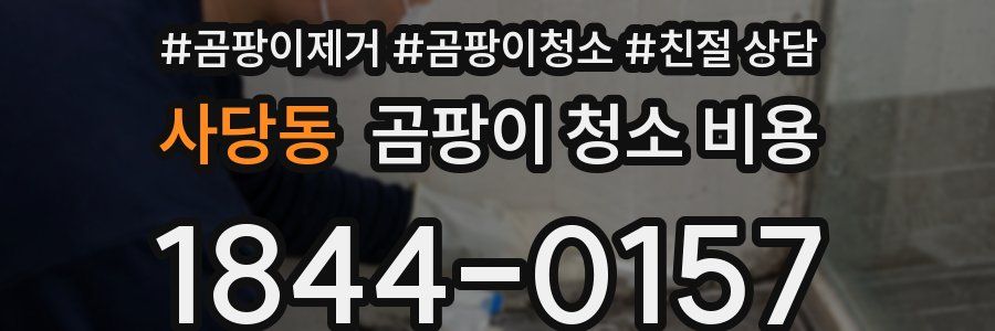 사당동 곰팡이 청소 비용