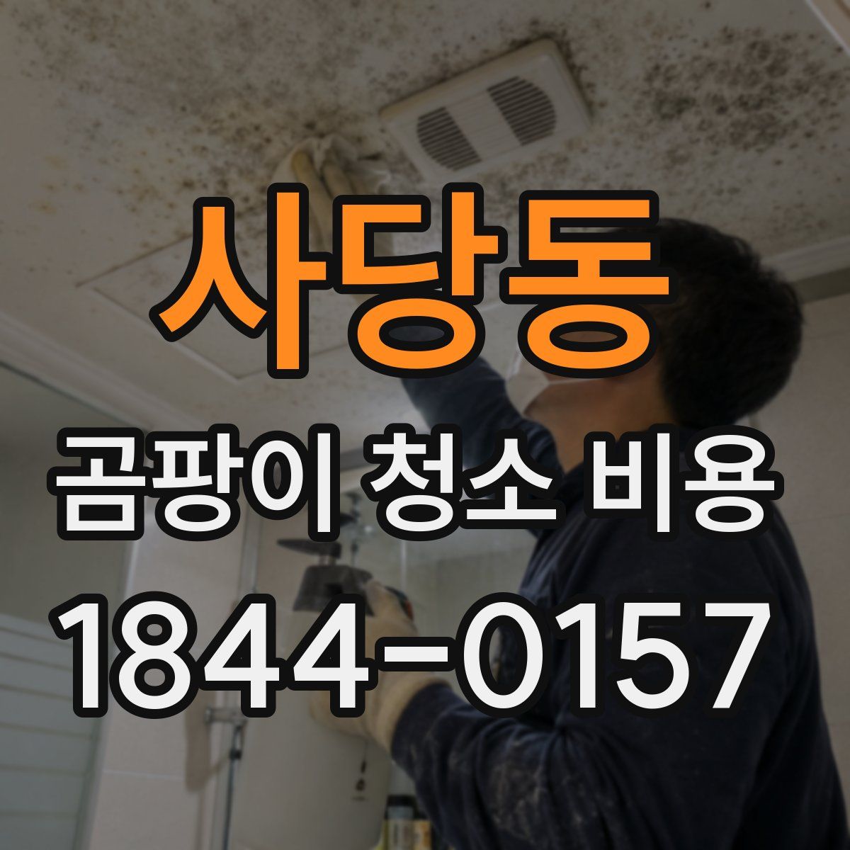 사당동 곰팡이 청소 비용