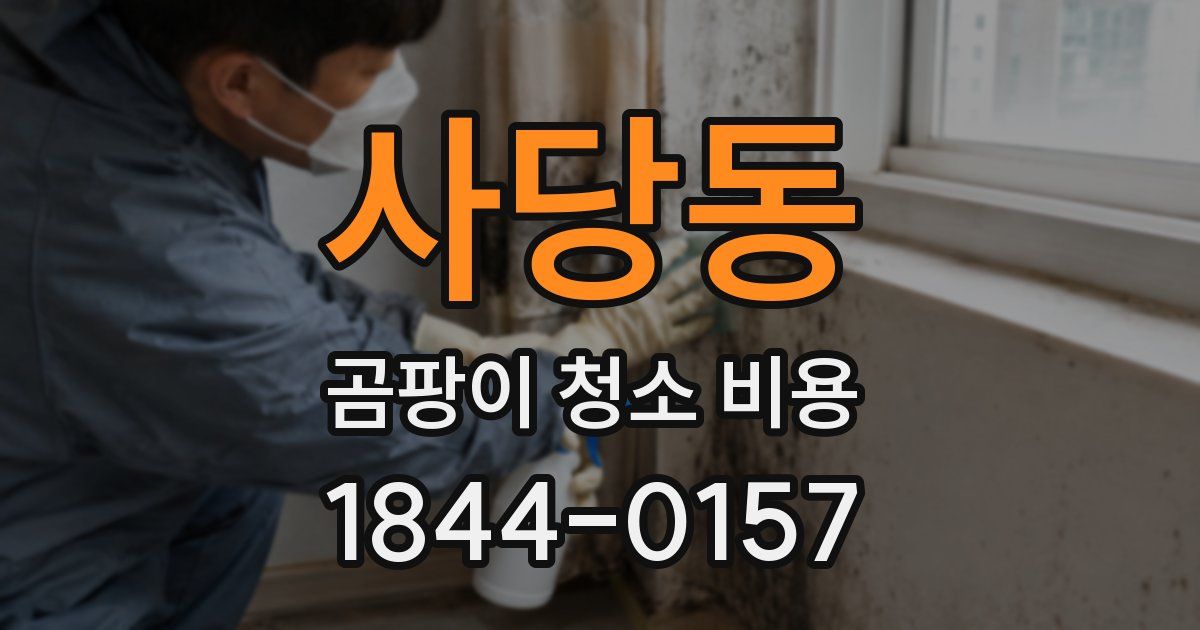 사당동 곰팡이 청소 비용