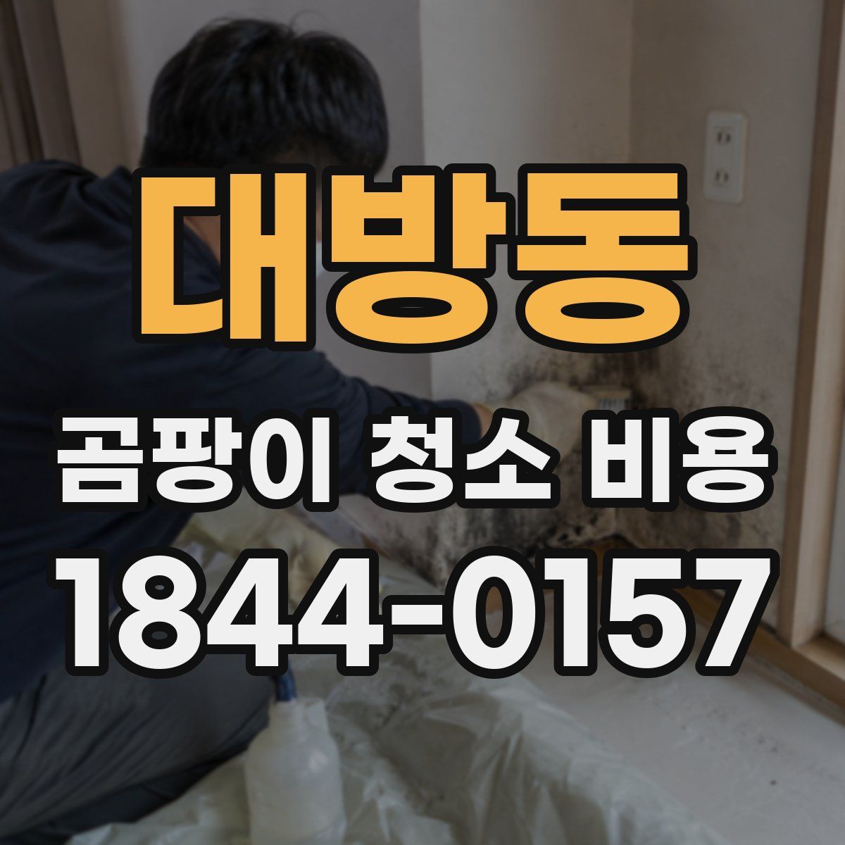 대방동 곰팡이 청소 비용