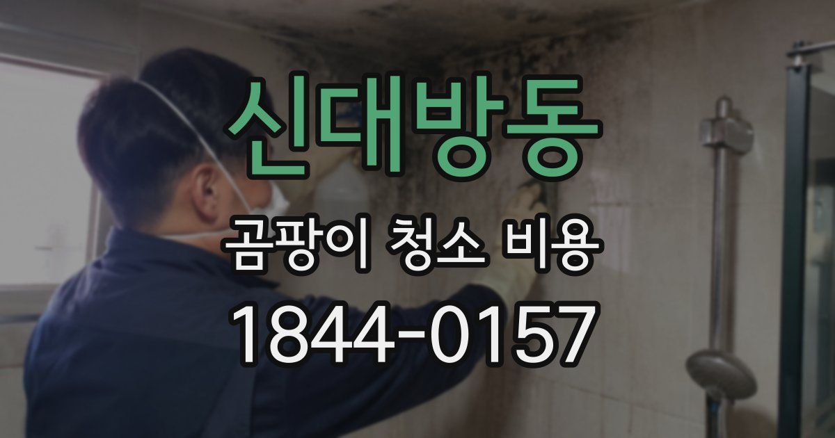 신대방동 곰팡이 청소 비용