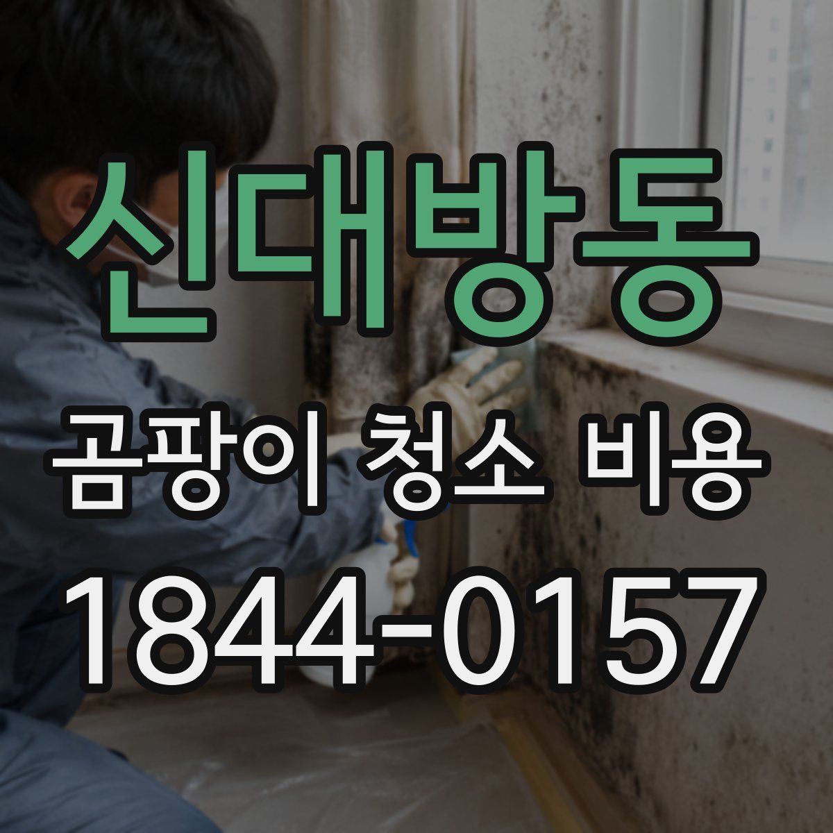 신대방동 곰팡이 청소 비용