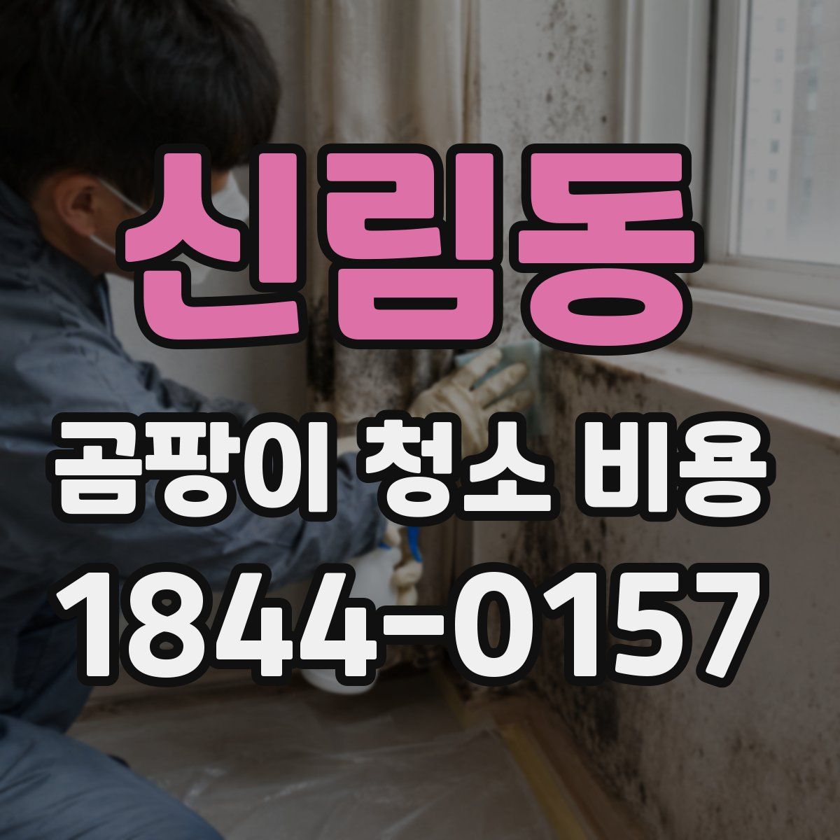 신림동 곰팡이 청소 비용