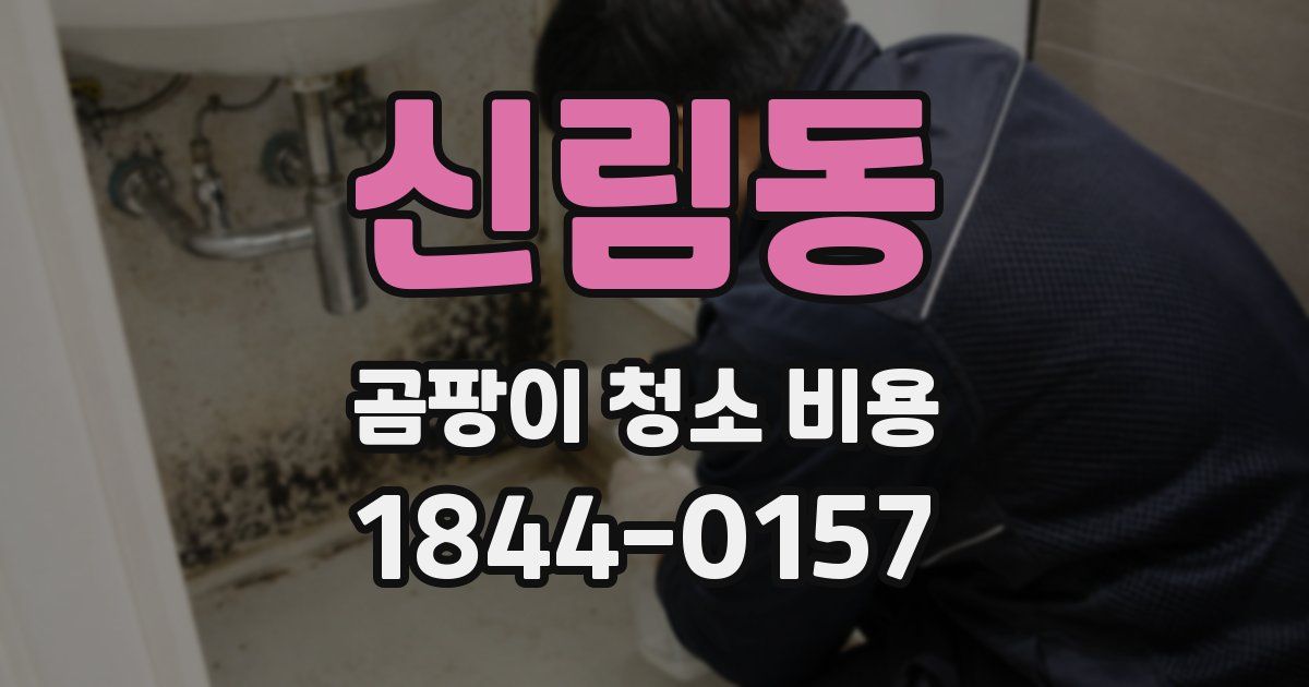 신림동 곰팡이 청소 비용
