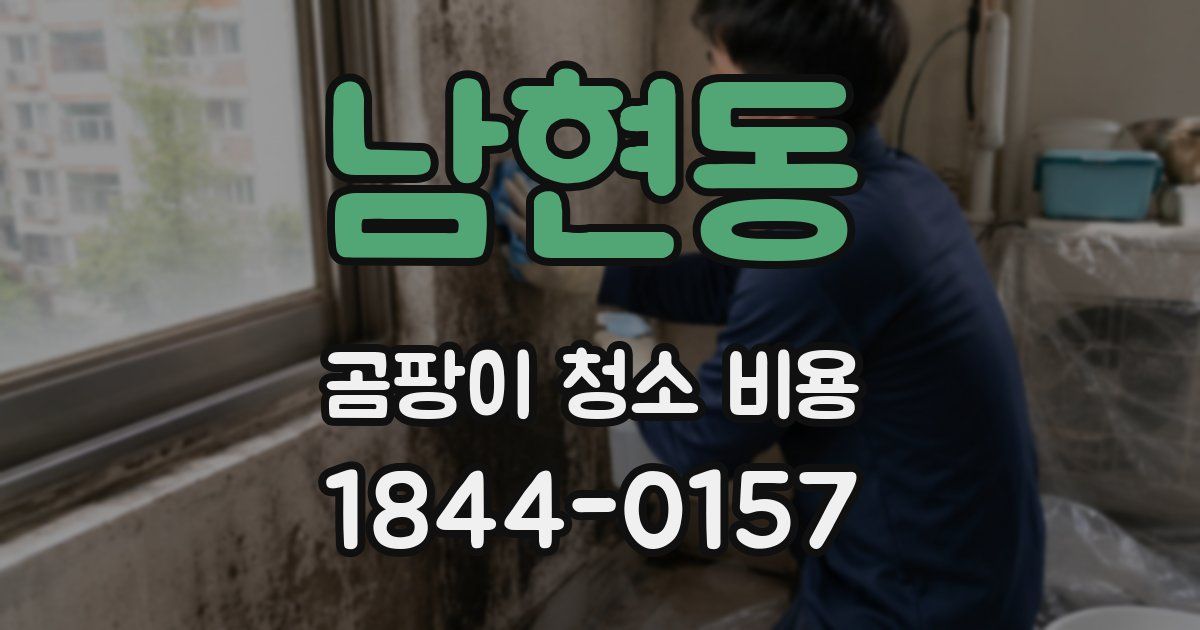 남현동 곰팡이 청소 비용
