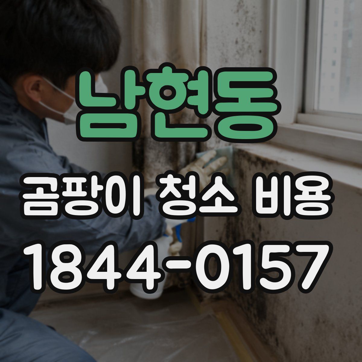 남현동 곰팡이 청소 비용