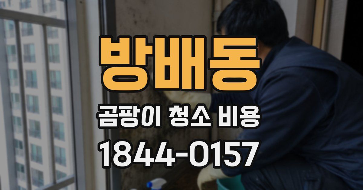 방배동 곰팡이 청소 비용