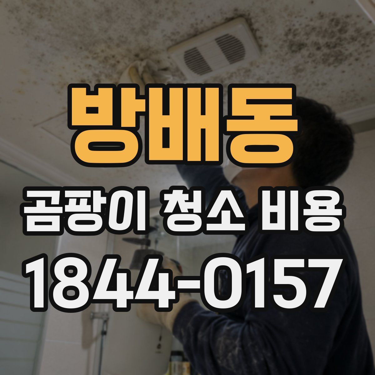 방배동 곰팡이 청소 비용