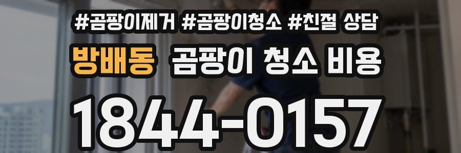방배동 곰팡이 청소 비용