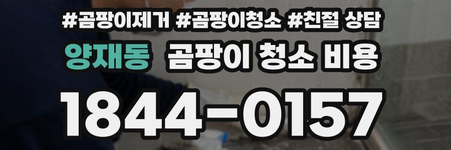 양재동 곰팡이 청소 비용