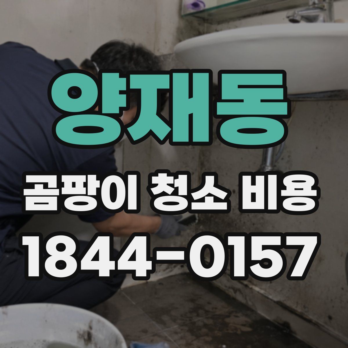 양재동 곰팡이 청소 비용
