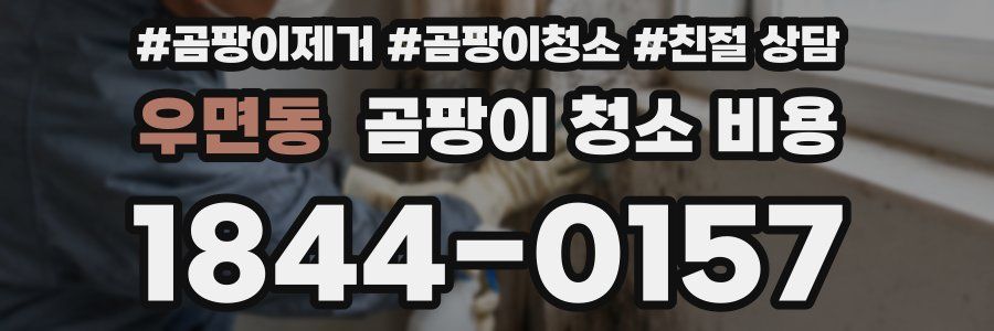 우면동 곰팡이 청소 비용