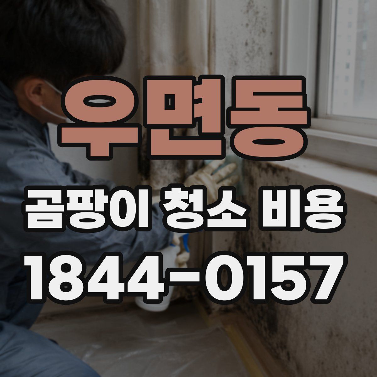 우면동 곰팡이 청소 비용